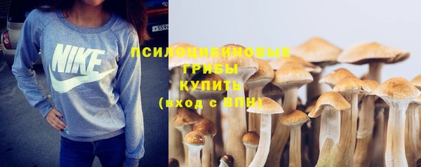 PSILOCYBIN Протвино