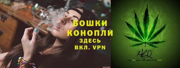 мдпв Волоколамск