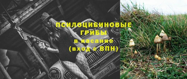 соль ск Верея