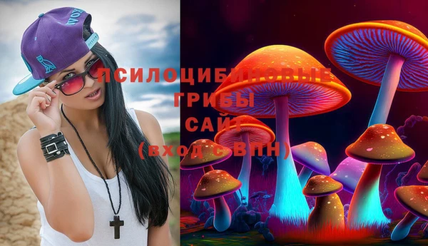 мдпв Волоколамск