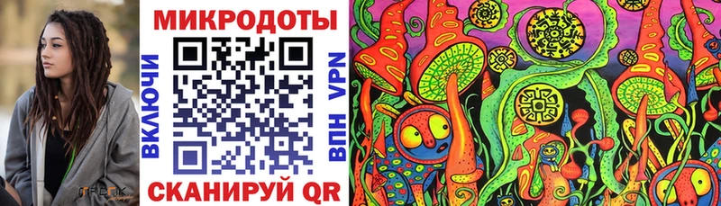 Псилоцибиновые грибы Psilocybine cubensis  Ивангород 